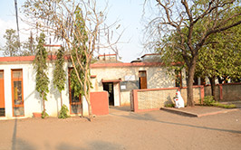 Foundation Of Gym