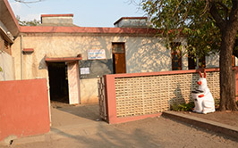 Foundation Of Gym